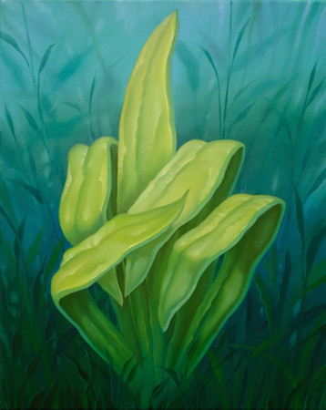 Naughty plant, 50 x 40, ol na pl, 2024